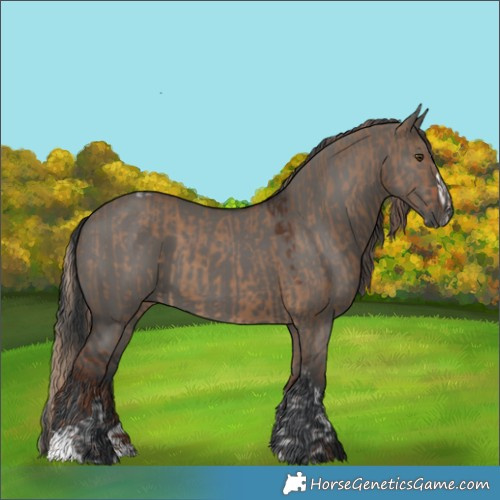 Horse Color:Liver Red Dun Splash Tobiano  and Grullo 