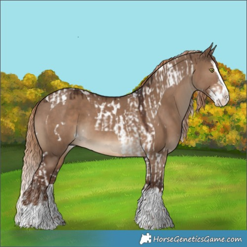 Horse Color:Liver Red Dun Splash Tobiano  and White Spotted Liver Red Dun Splash 