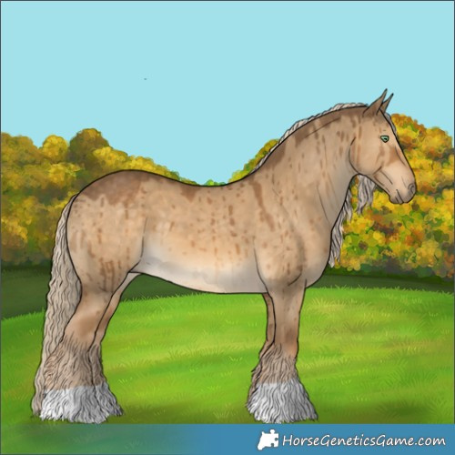 Horse Color:Chocolate Palomino Dun Brindle 