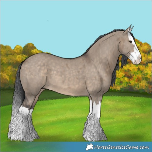 Horse Color:Brown Dun Merle Splash