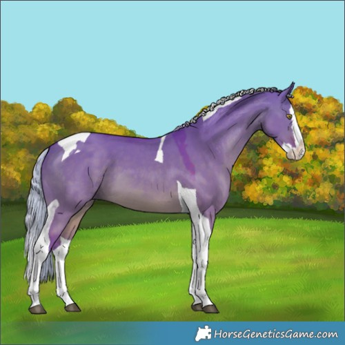 Horse Color:Watercolor Silver Brown Dun Splash Tobiano