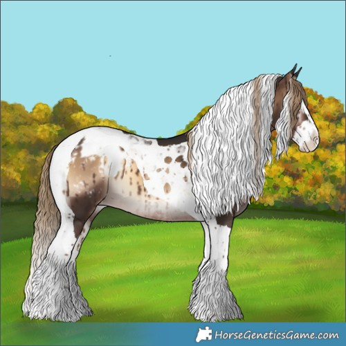Horse Color:Liver Red Onyx Splash Tobiano Appaloosa 