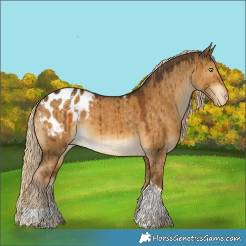 Horse Color:Powder White Chocolate Palomino Dun Tobiano Appaloosa Brindle 