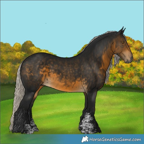 Horse Color:Gray Silver Buckskin Sabino Rabicano 