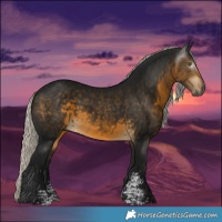 Horse Color:Gray Silver Buckskin Sabino Rabicano 