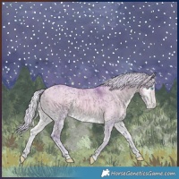 Horse Color:Watercolor Silver Perlino Onyx Merle Sabino Varnish Brindle 