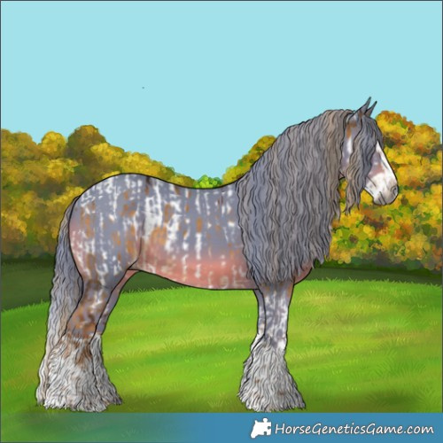 Horse Color:Gray Chocolate Palomino Dun Splash Tobiano Appaloosa  and Gray Watercolor Smoky Black Splash 