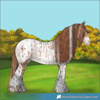 Horse Color:White Spotted Amber Champagne  and White Spotted Gold Champagne Splash Tobiano Near Fewspot 
