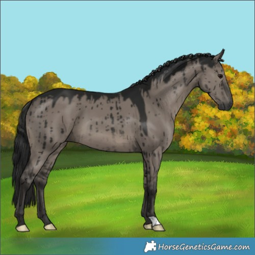 Horse Color:Gray Grullo Brindle 