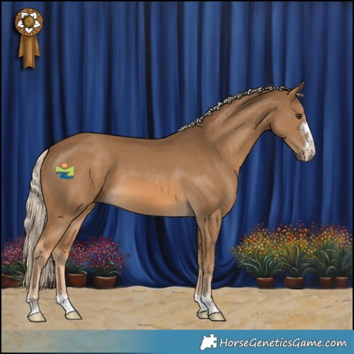 Horse Color:Chocolate Palomino 