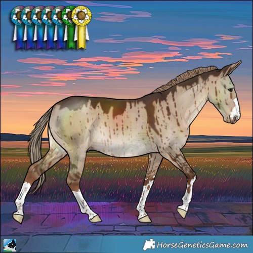 Horse Color:Liver Red Dun Brindle 