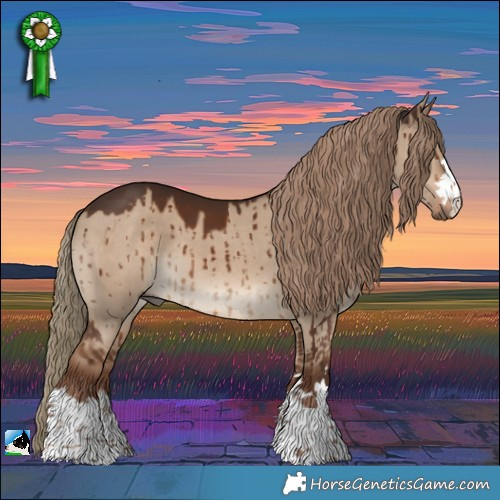 Horse Color:Liver Red Dun Brindle 