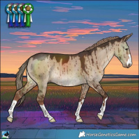 Horse Color:Liver Red Dun Brindle 