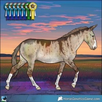 Horse Color:Liver Red Dun Brindle