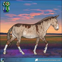 Horse Color:Liver Red Dun Brindle 