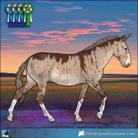 Horse Color:Liver Red Dun Brindle
