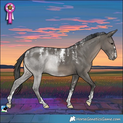 Horse Color:Powder White Grullo Brindle 