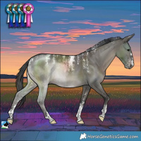 Horse Color:Powder White Grullo Brindle