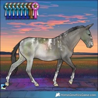 Horse Color:Powder White Grullo Brindle