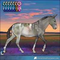 Horse Color:Powder White Grullo Brindle