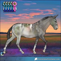 Horse Color:Powder White Grullo Brindle