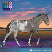 Horse Color:Powder White Grullo Brindle