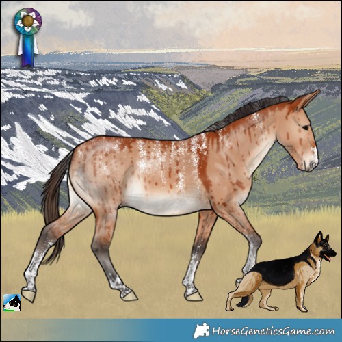 Horse Color:Powder White Bay Dun Brindle 