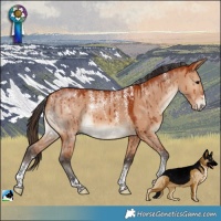 Horse Color:Powder White Bay Dun Brindle 