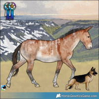Horse Color:Powder White Bay Dun Brindle