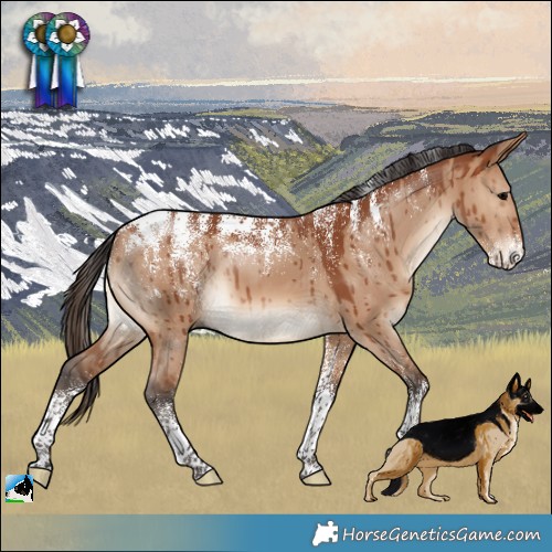 Horse Color:Powder White Bay Dun Brindle