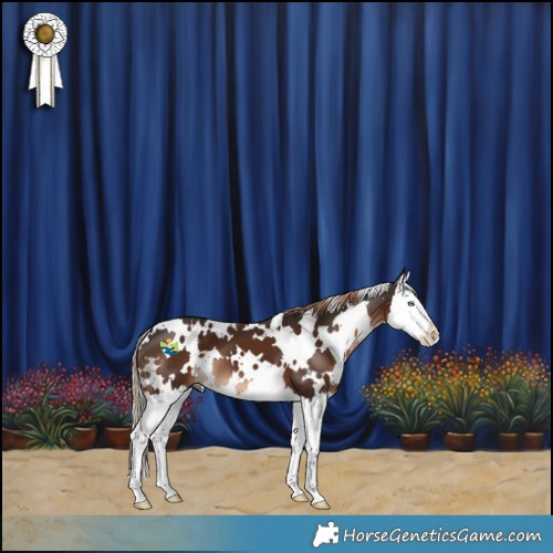 Horse Color:White Spotted Liver Chestnut Splash 