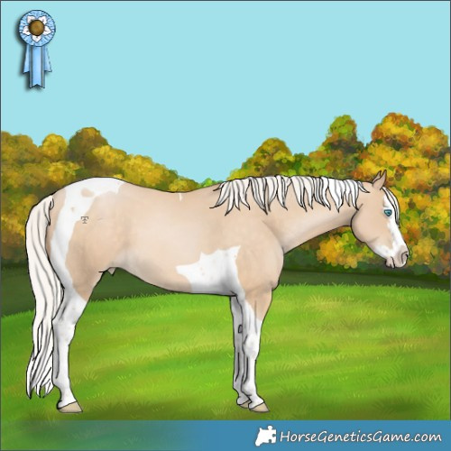 Horse Color:Silver Buckskin Snowdrop Splash Tobiano 