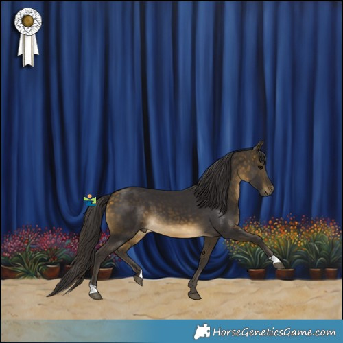 Horse Color:Buckskin 