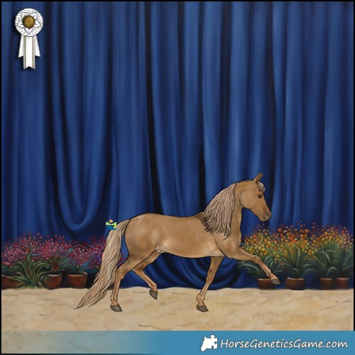 Horse Color:Chocolate Palomino Dun Appaloosa 