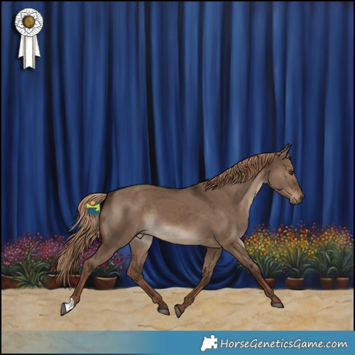 Horse Color:Liver Red Dun 