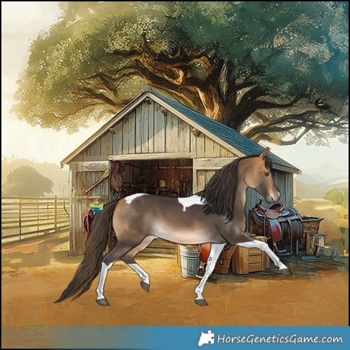 Horse Color:Buckskin Tobiano 