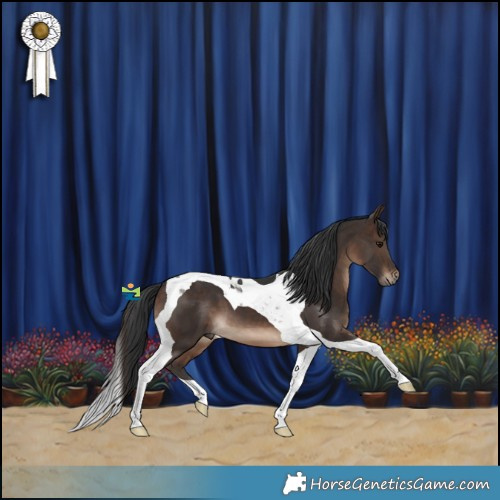 Horse Color:Brown Tobiano 