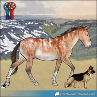 Horse Color:Powder White Bay Dun Brindle