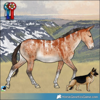Horse Color:Powder White Bay Dun Brindle 
