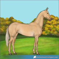 Horse Color:Palomino Dun 