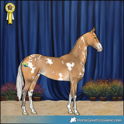 Horse Color:White Spotted Silver Buckskin Sabino
