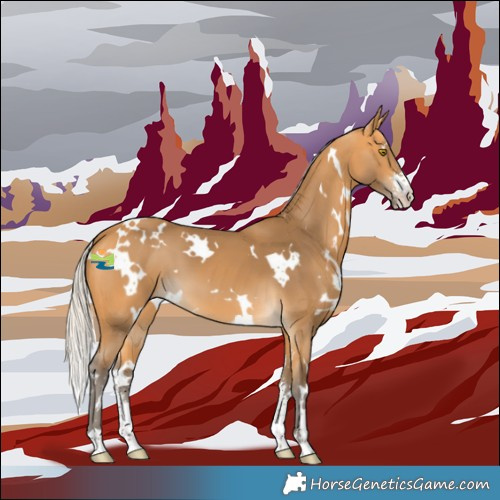 Horse Color:White Spotted Silver Buckskin Sabino 