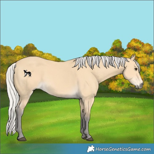 Horse Color:Silver Buckskin 