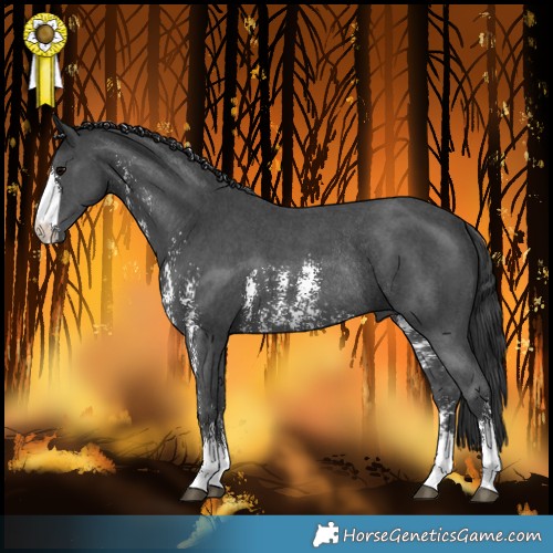 Horse Color:Black Sabino Rabicano