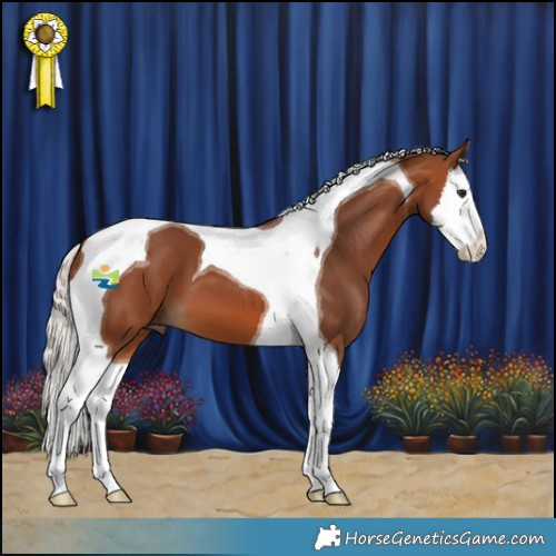 Horse Color:Silver Brown Splash Tobiano 