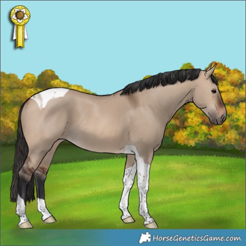 Horse Color:Brown Dun Tobiano