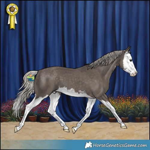 Horse Color:Silver Smoky Black Sabino Splash