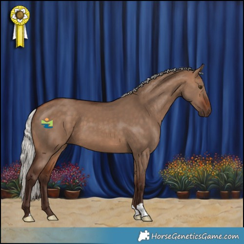 Horse Color:Silver Bay Dun