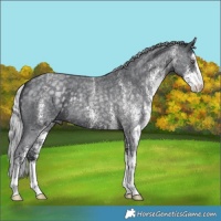 Horse Color:White Spotted Silver Blue Chinchilla Roan 