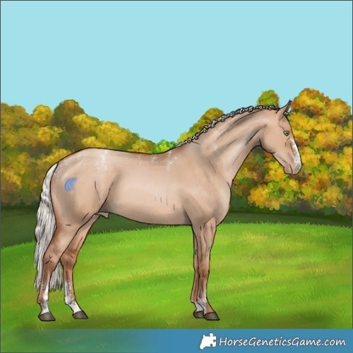 Horse Color:Powder White Silver Bay Pearl Dun Sabino Rabicano 